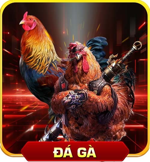 Đá gà 8S